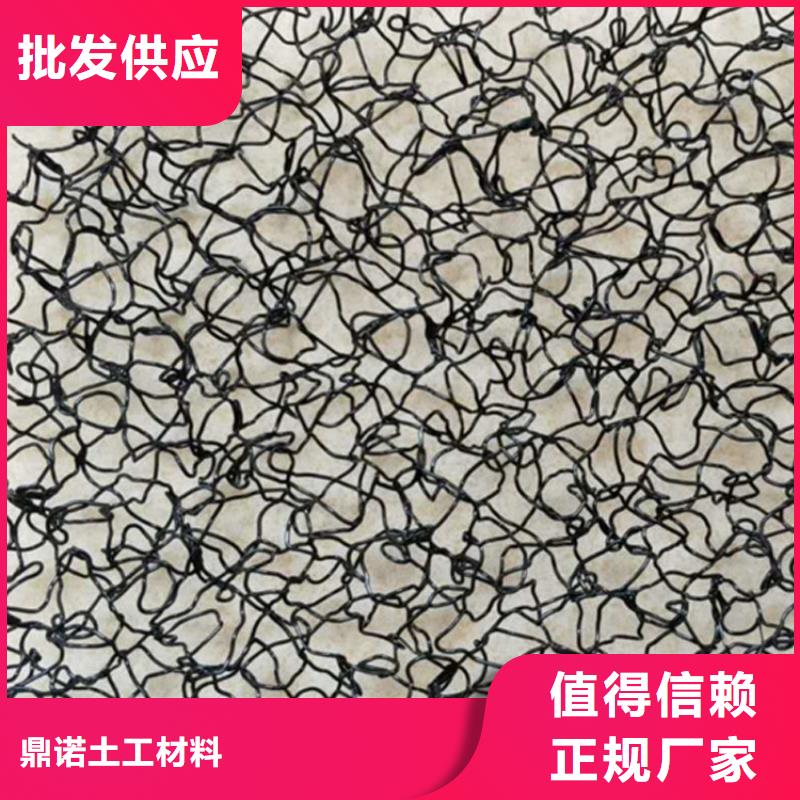 水土保護(hù)毯鋼塑格柵質(zhì)量優(yōu)選