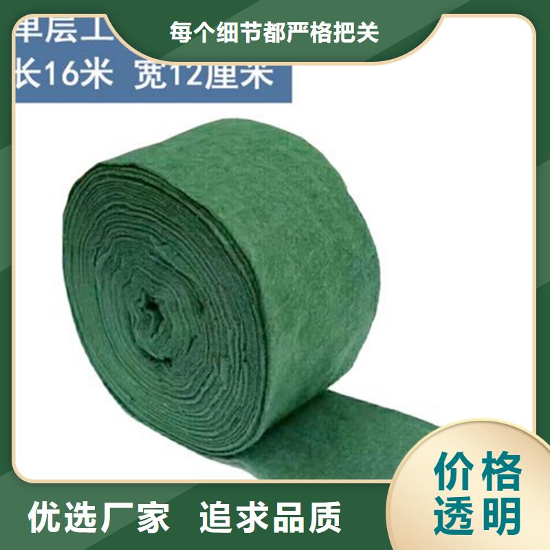 【裹树布】土工格栅现货满足大量采购