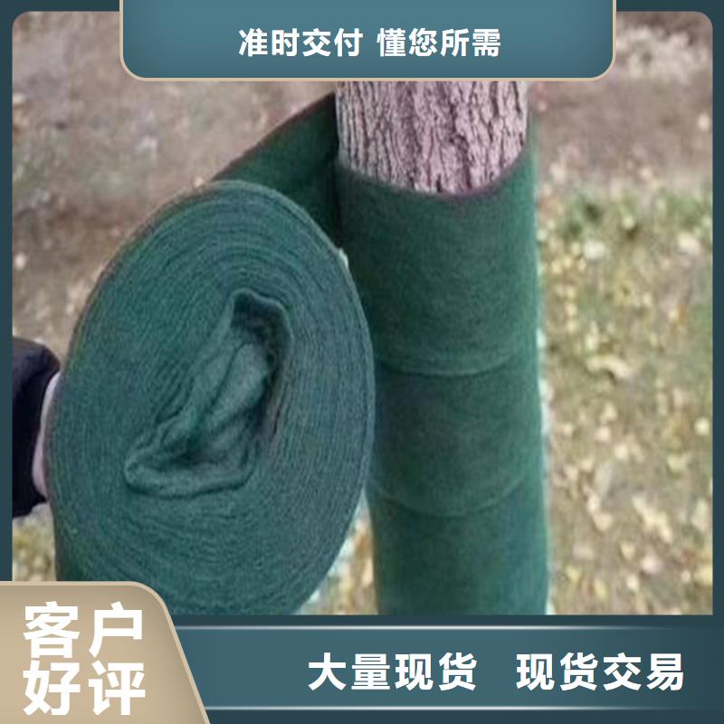 裹树布双向塑料土工格栅厂家案例