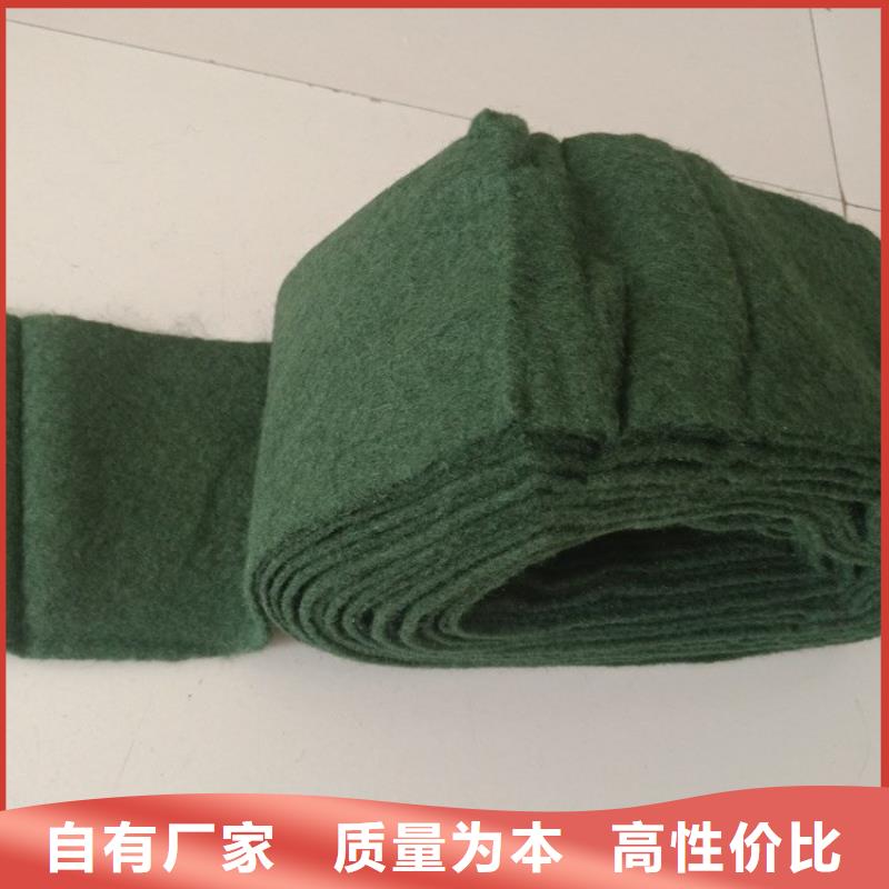裹樹布塑料格柵全品類現(xiàn)貨