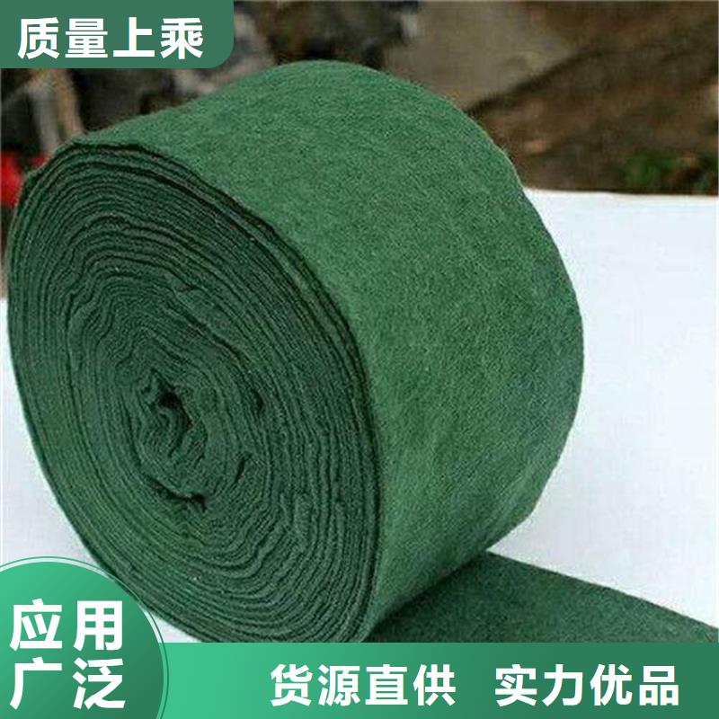 裹樹布塑料格柵全品類現(xiàn)貨