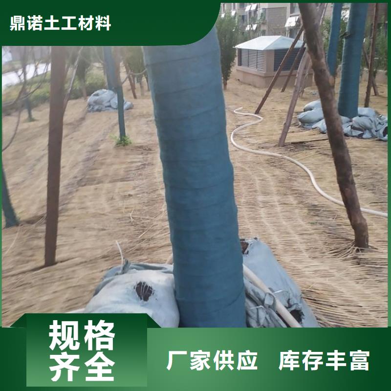 裹树布双向塑料土工格栅厂家案例