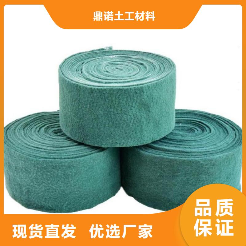 裹樹布塑料格柵全品類現(xiàn)貨