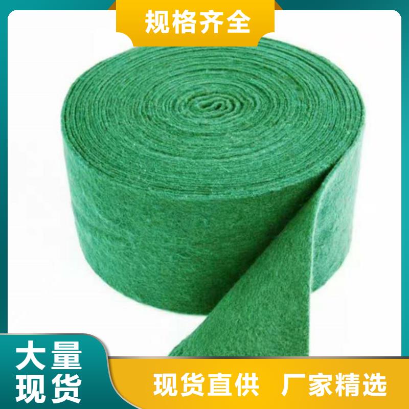 裹樹布塑料格柵全品類現(xiàn)貨