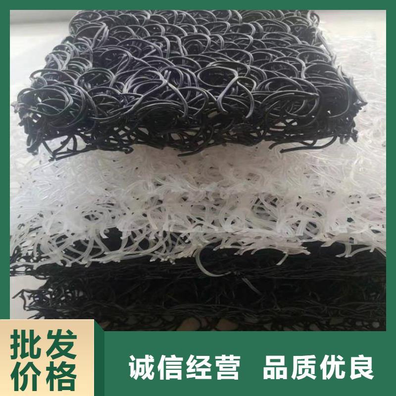土工席墊鋼塑格柵質(zhì)量看得見