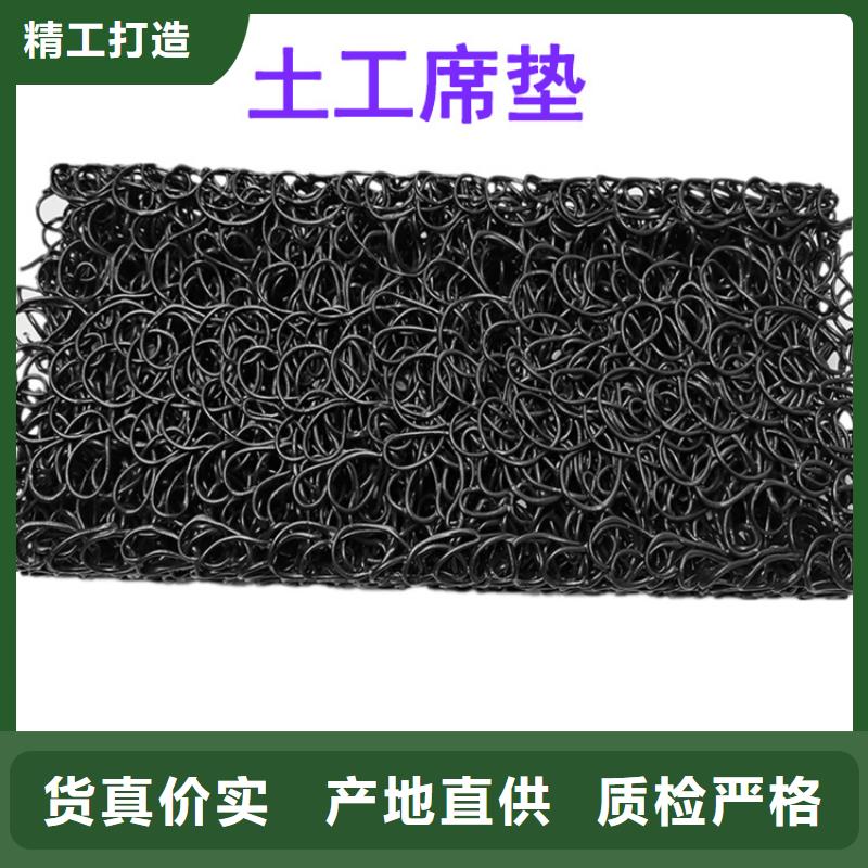 土工席垫钢塑格栅质量看得见