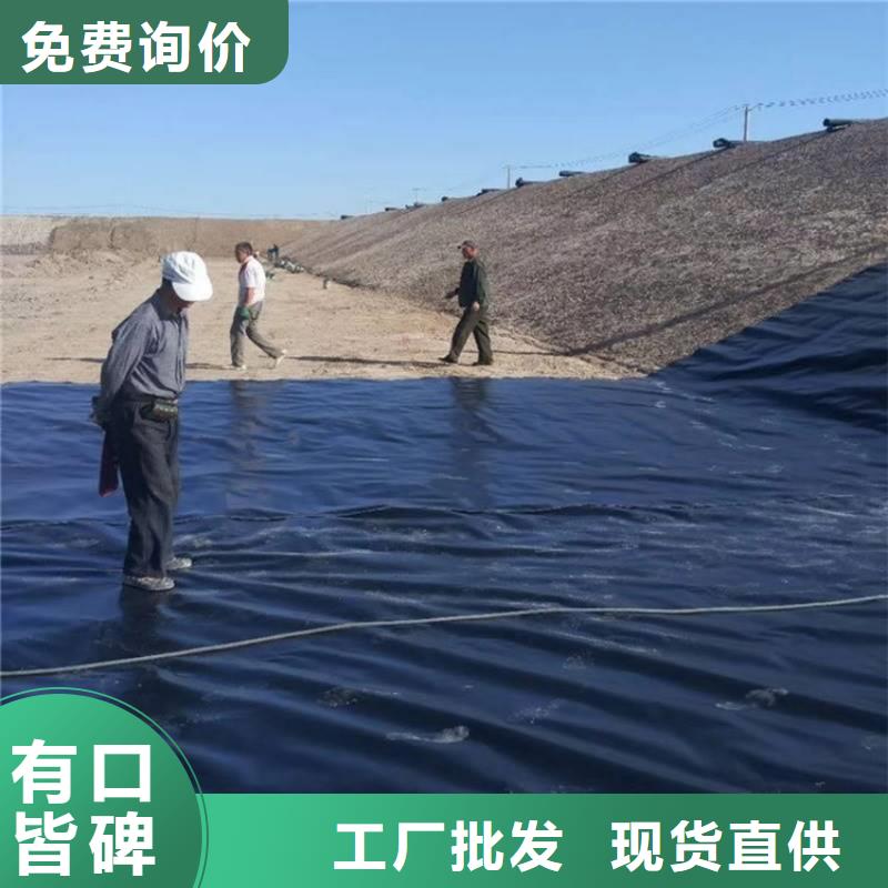 土工膜防渗膜有实力有经验