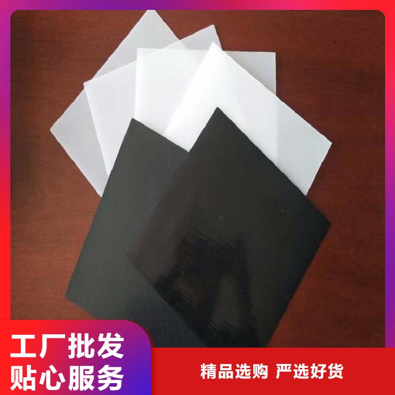 土工膜防滲膜有實力有經(jīng)驗