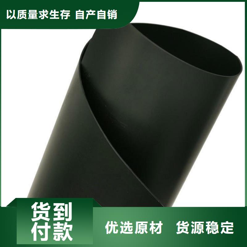 土工膜土工格柵定制零售批發(fā)