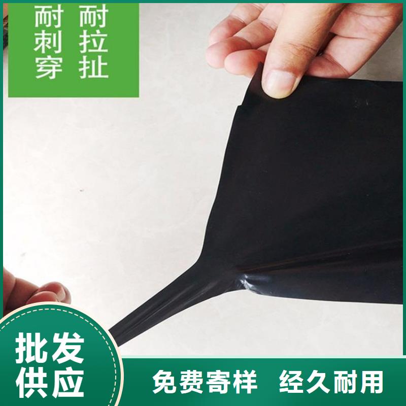 土工膜土工格柵定制零售批發(fā)