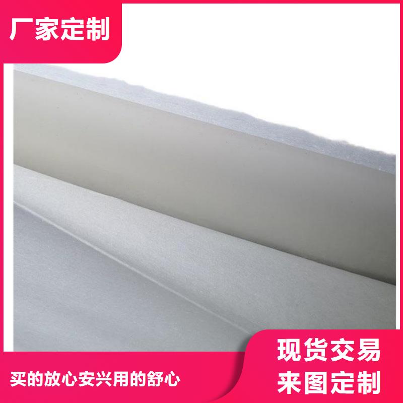 土工布防水土工布实力派厂家