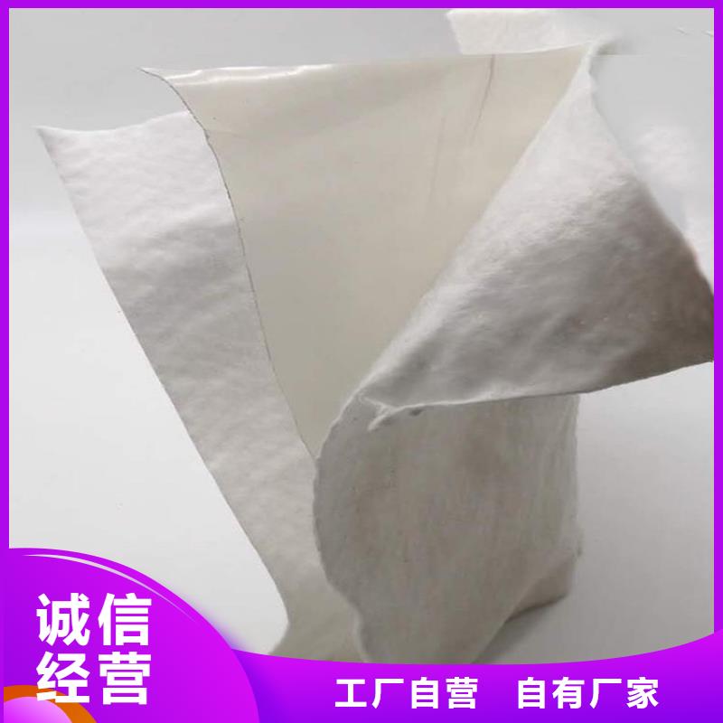 土工布-排水板符合行业标准