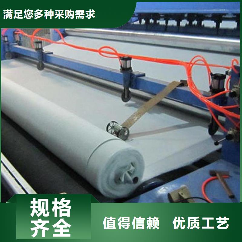 土工布土工格柵甄選好廠家