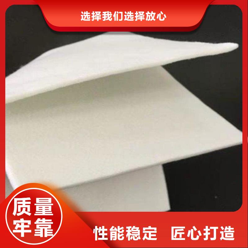 土工布土工格柵甄選好廠家