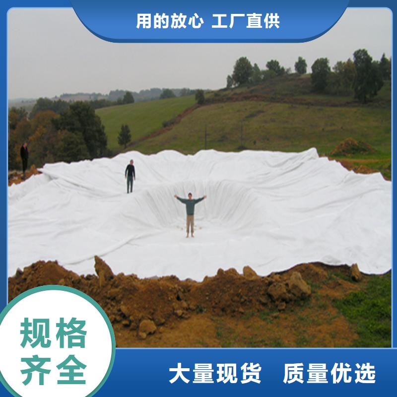 土工布土工格柵源廠定制