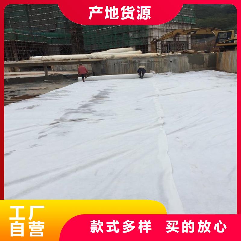 土工布防水土工布实力派厂家