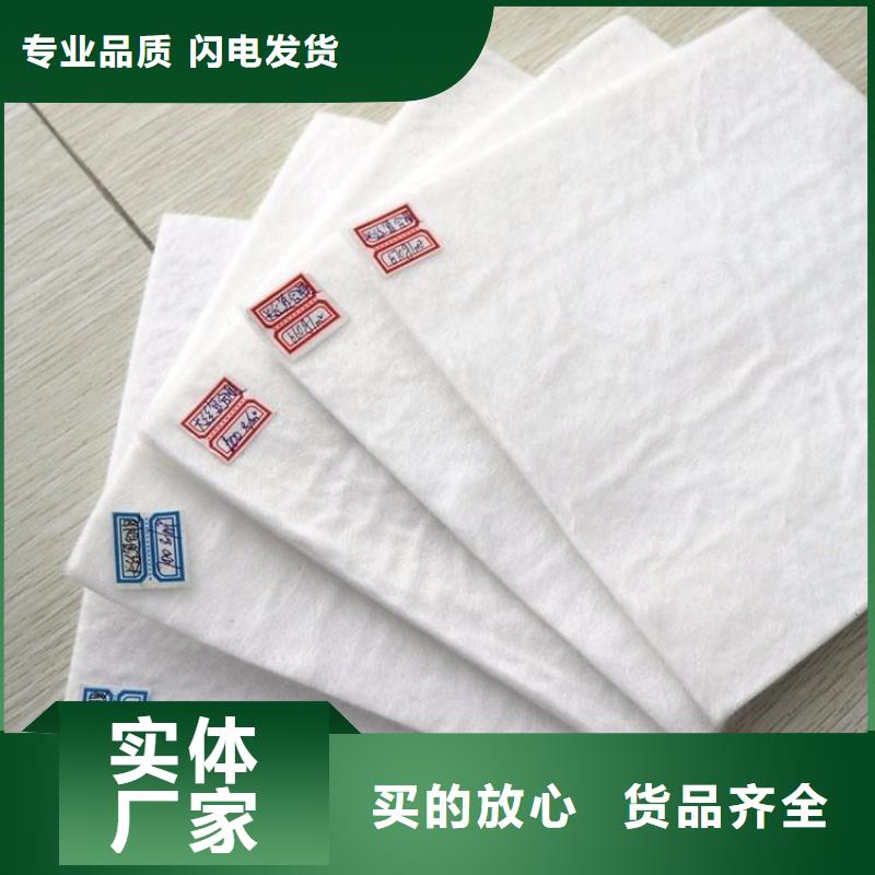土工布土工格柵源廠定制