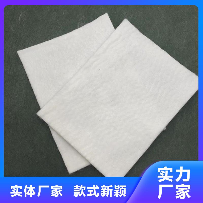 土工布防渗土工布品质做服务