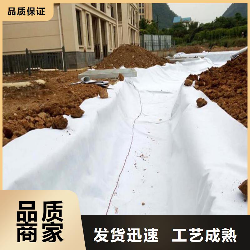 土工布-排水板符合行業(yè)標(biāo)準(zhǔn)