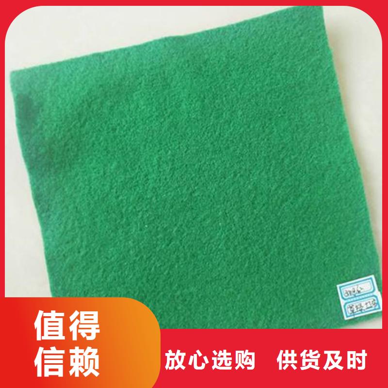 土工布-排水板符合行业标准