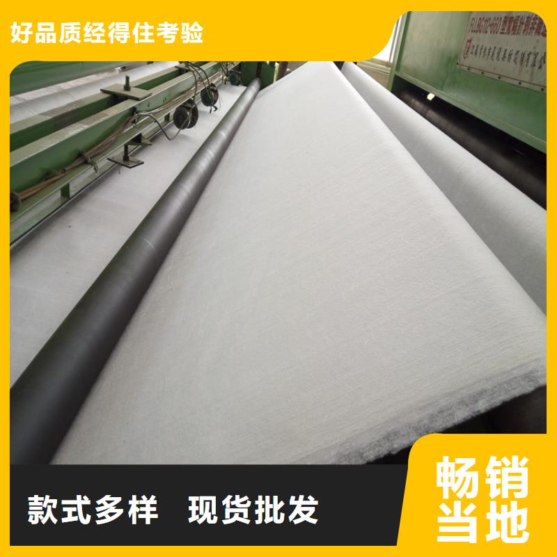 土工布防水土工布实力派厂家