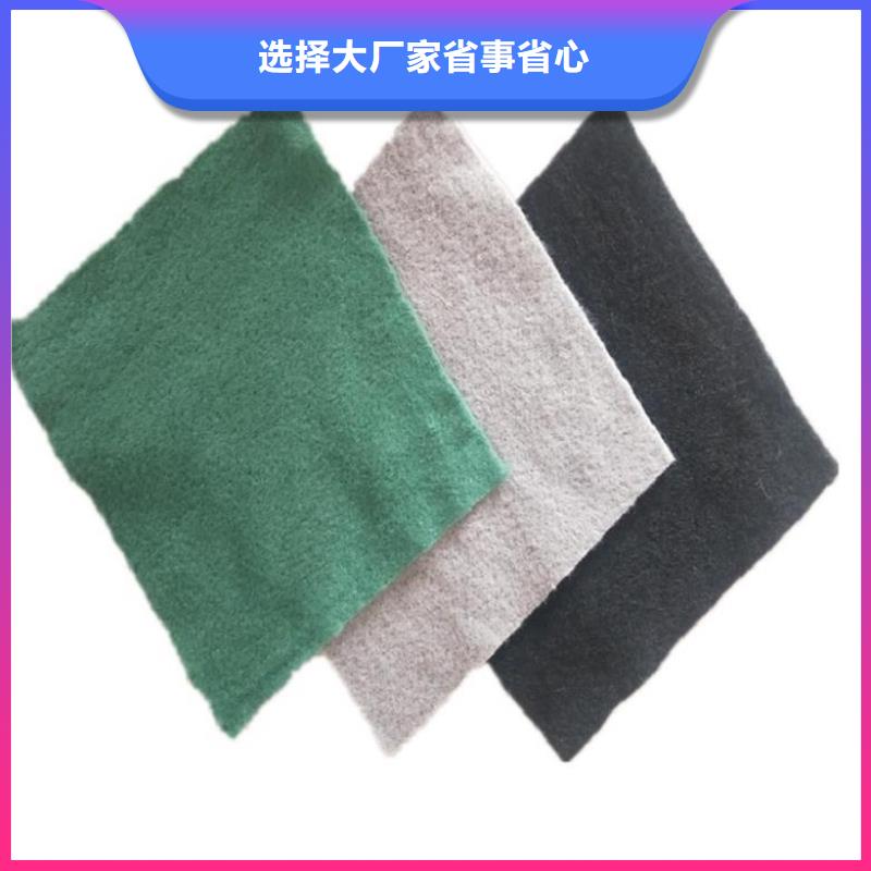 土工布土工格栅源厂定制
