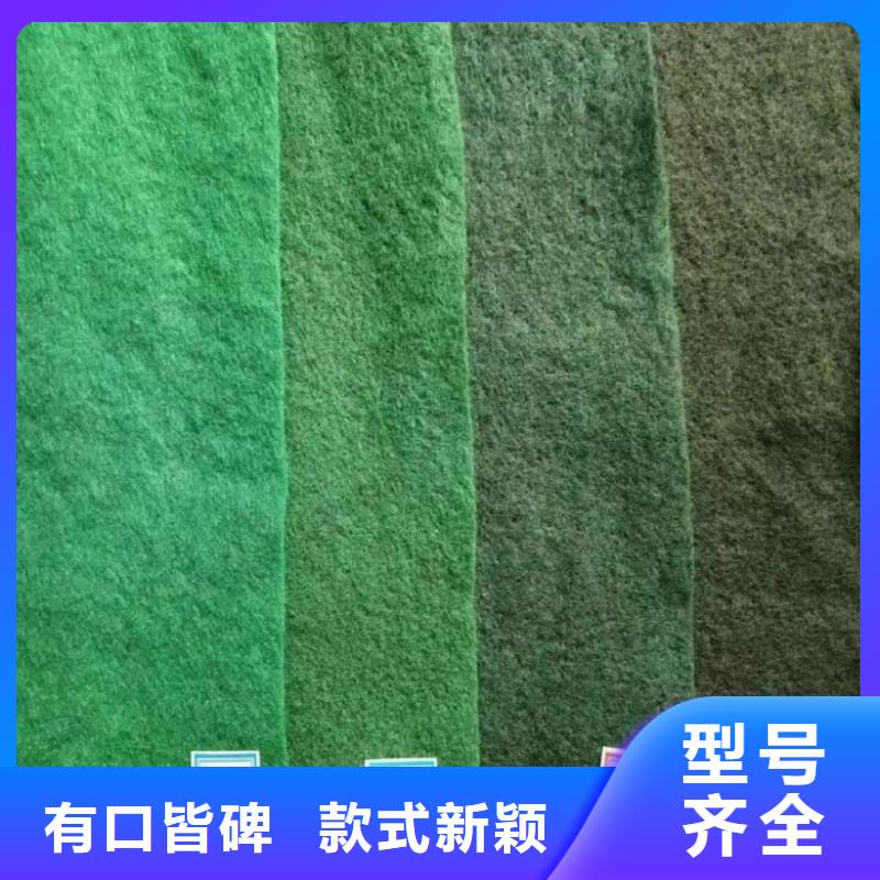 土工布防渗土工布品质做服务