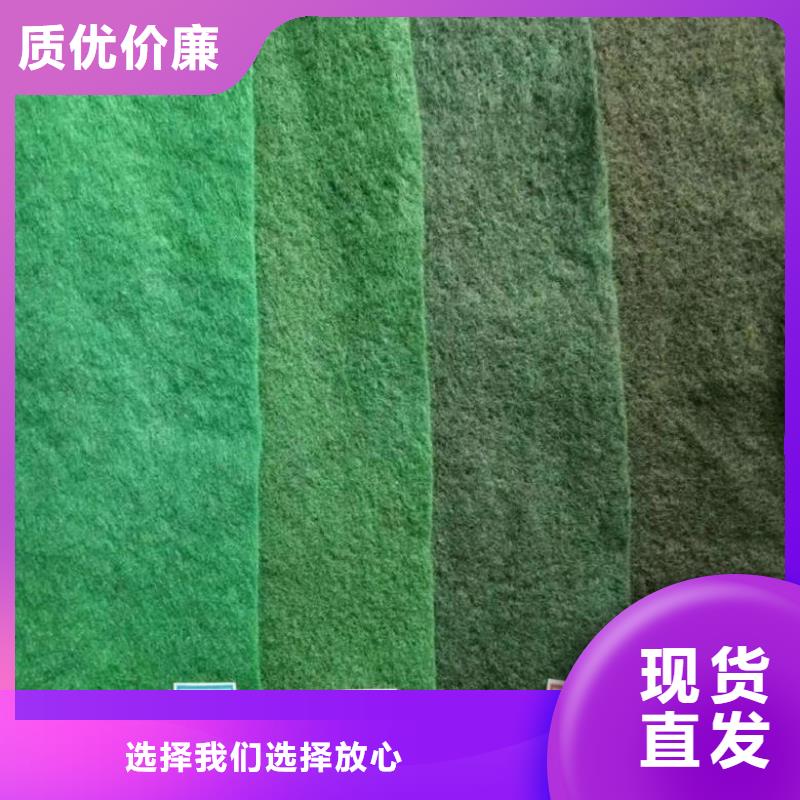 土工布蓄水板隨到隨提