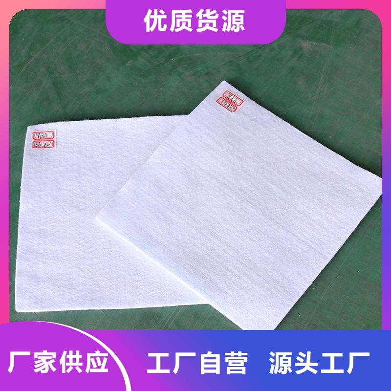 土工布涤纶格栅商家