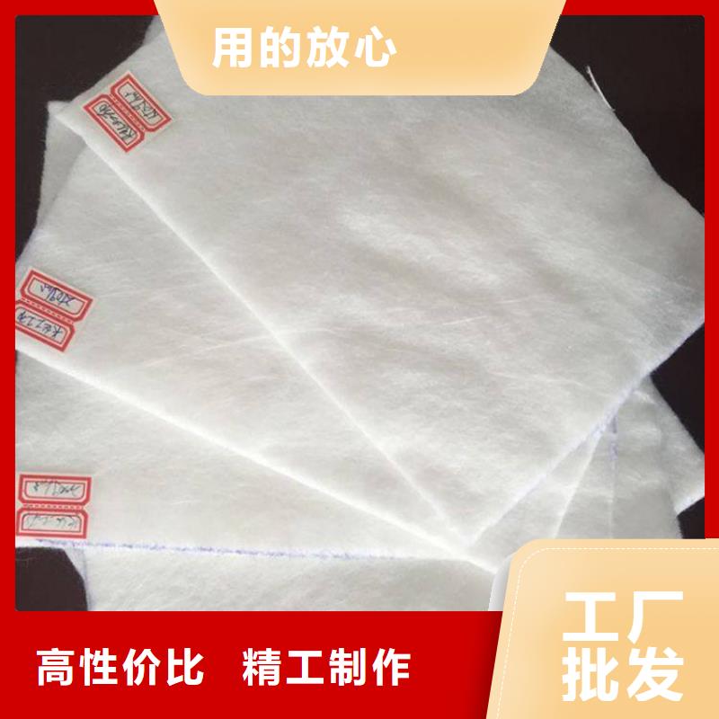土工布防渗土工布品质做服务