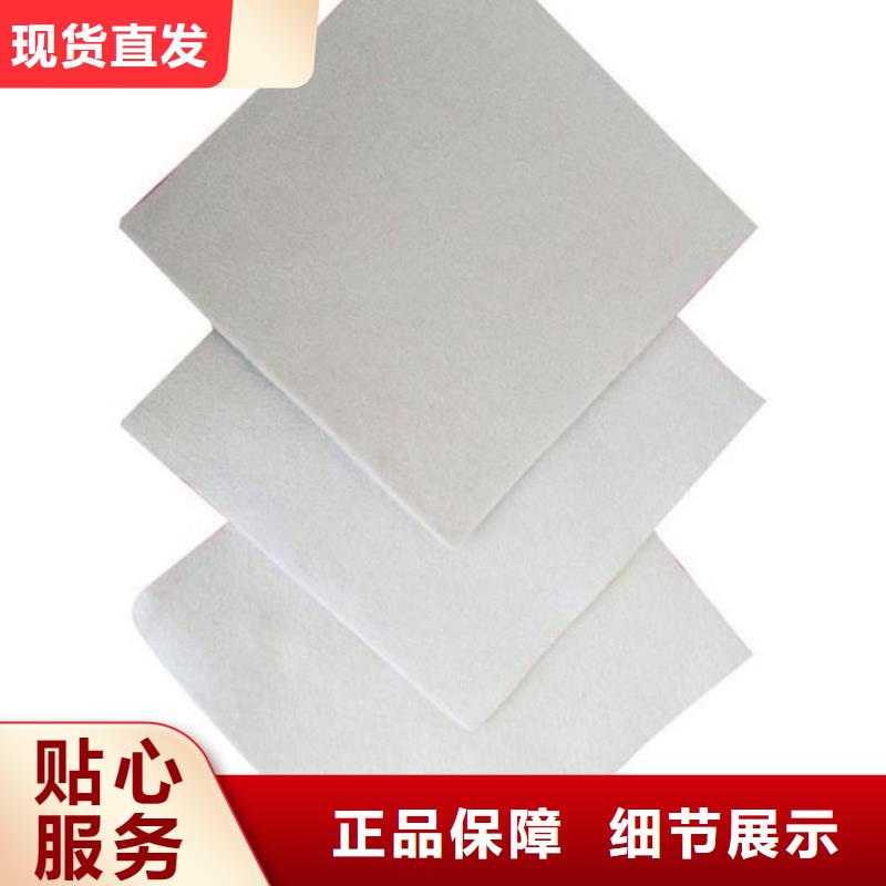 土工布滌綸格柵商家