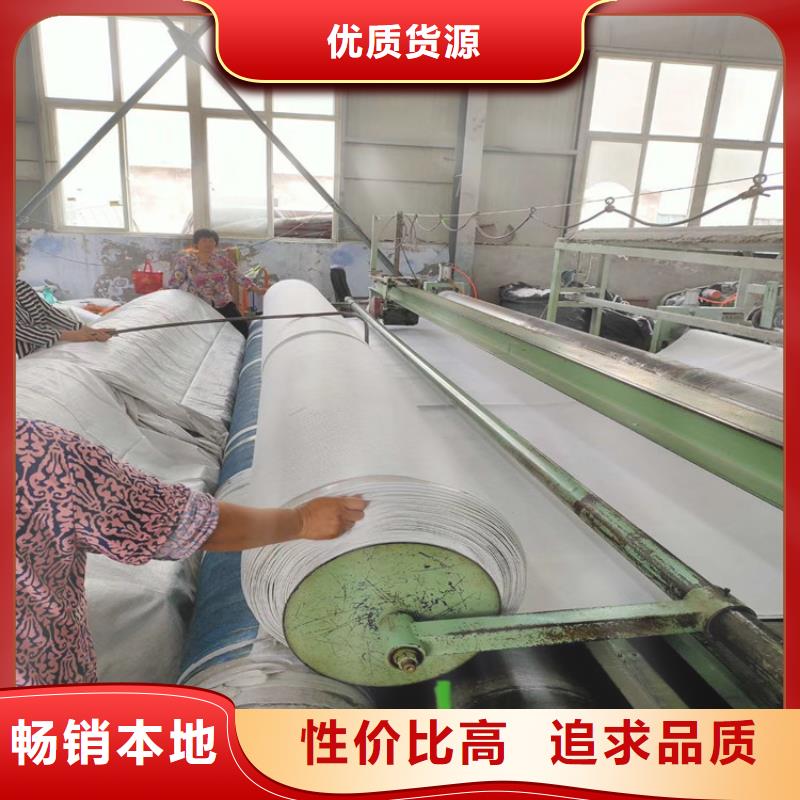 土工布防水土工布实力派厂家