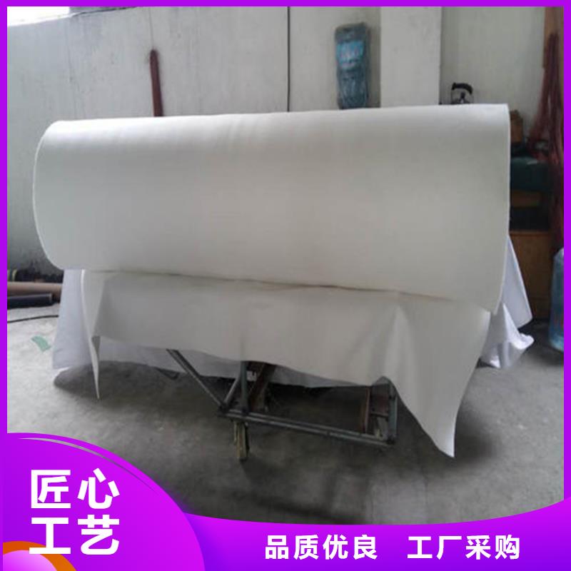 土工布防水土工布实力派厂家