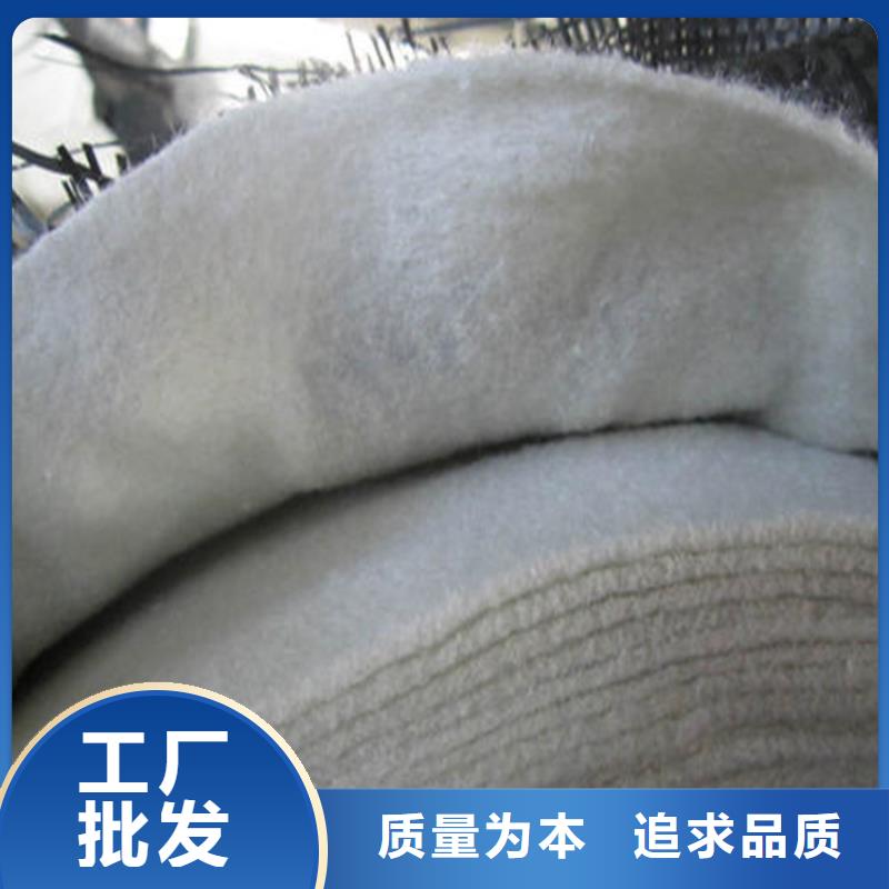 土工布土工格柵源廠定制
