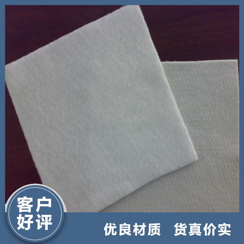 土工布涤纶格栅商家
