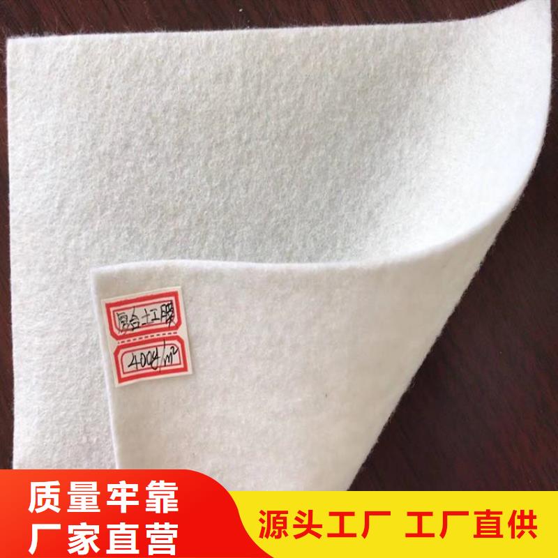 土工布-排水板符合行业标准