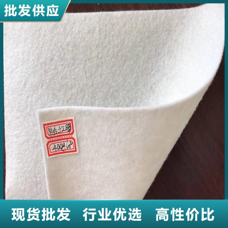 土工布滌綸格柵商家