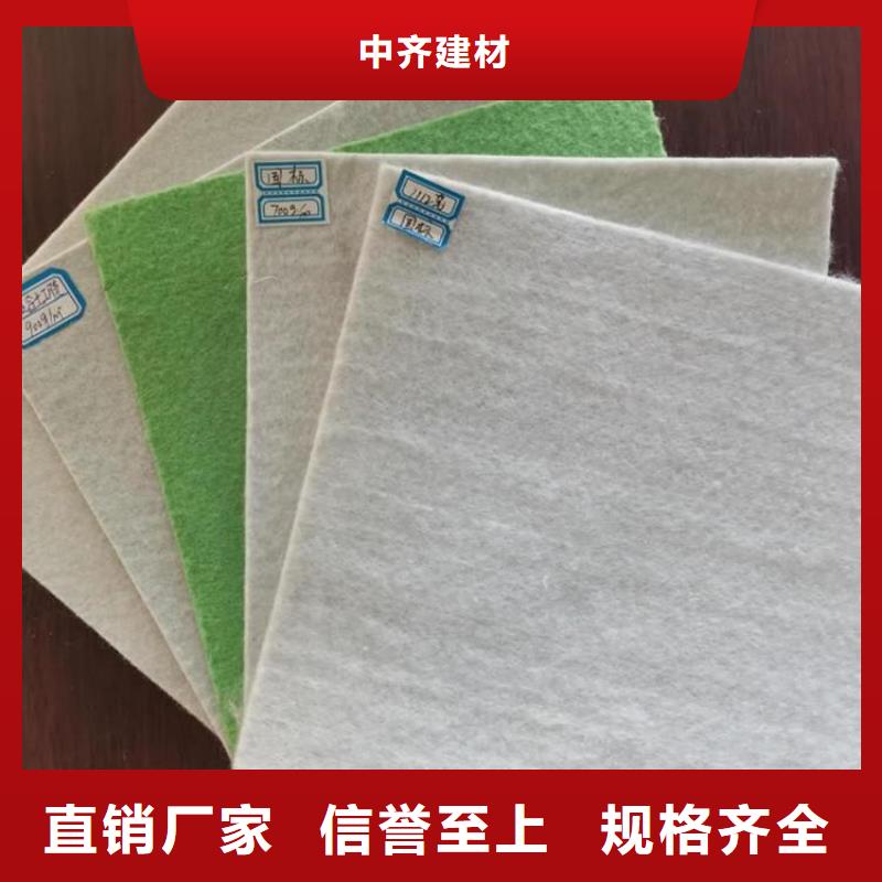 土工布土工格柵甄選好廠家