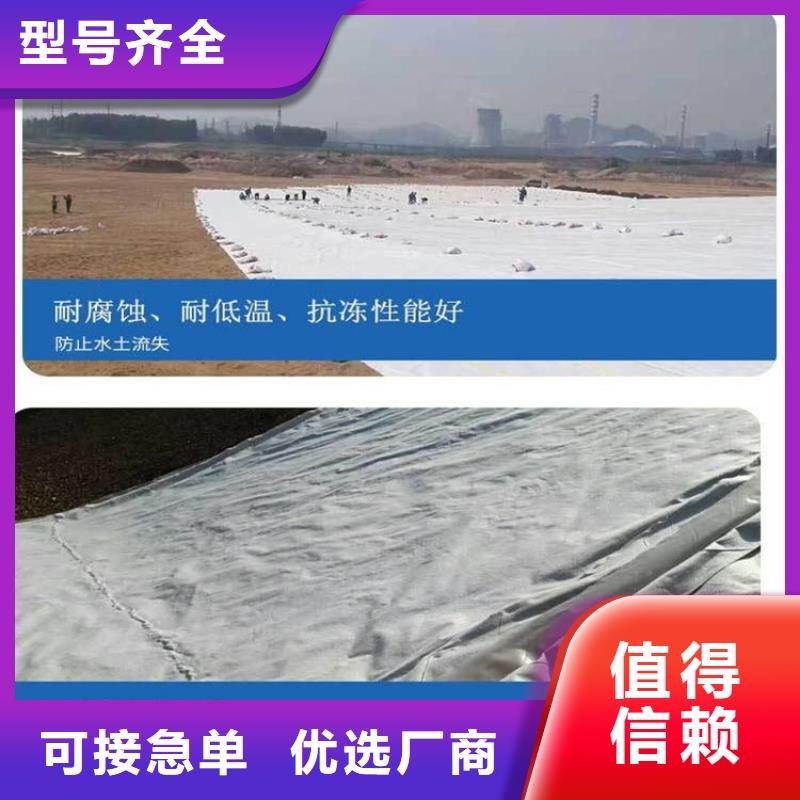 土工布土工格栅源厂定制