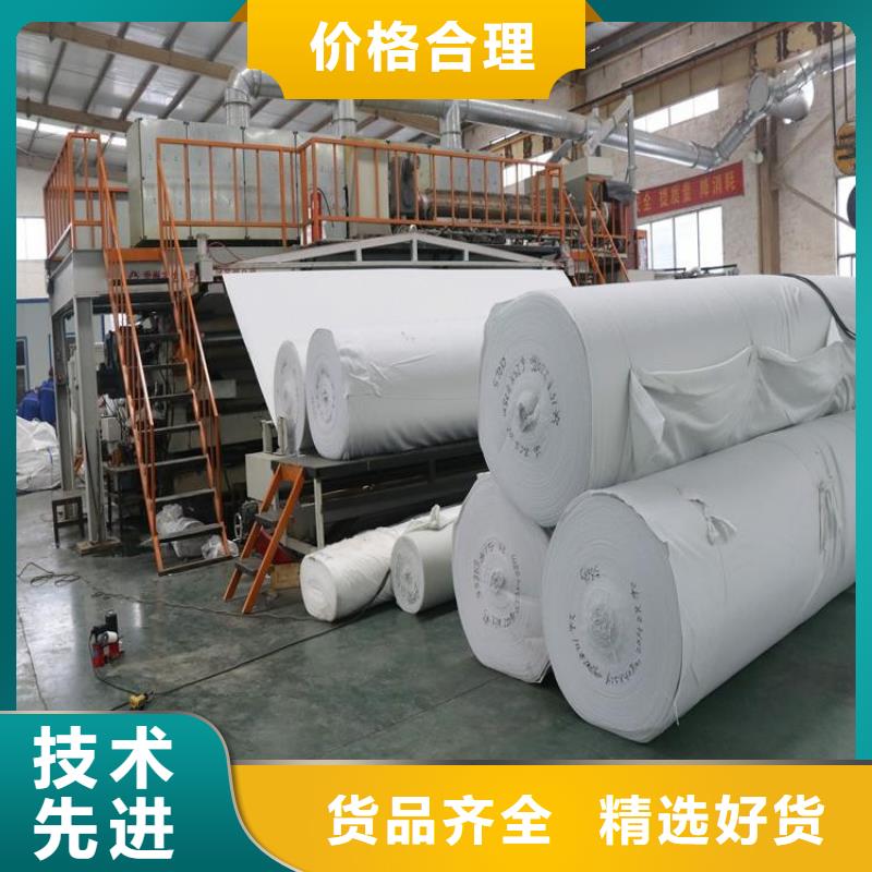 土工布土工格柵源廠定制