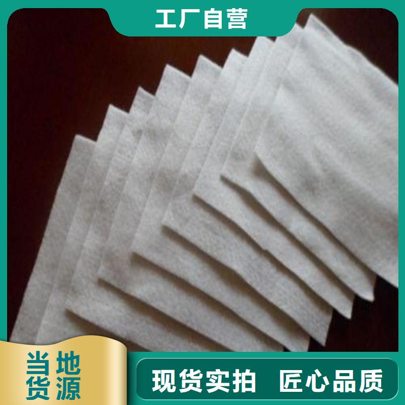 土工布土工格栅源厂定制