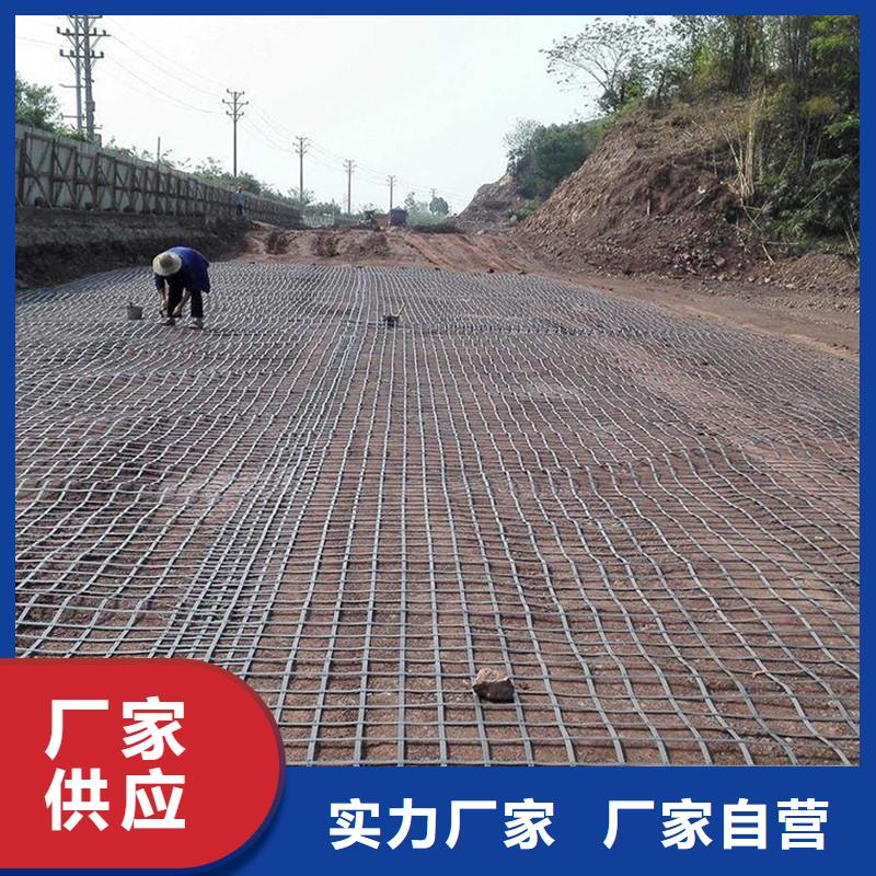 土木格栅-凸节点钢塑土工格栅-公路土工格栅