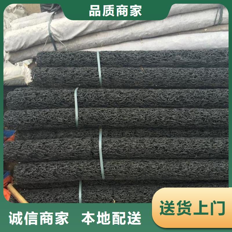 塑料盲溝三維植被網真材實料加工定制