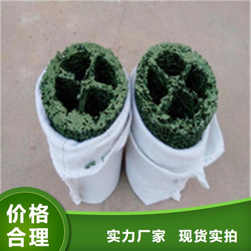 塑料盲溝三維植被網真材實料加工定制