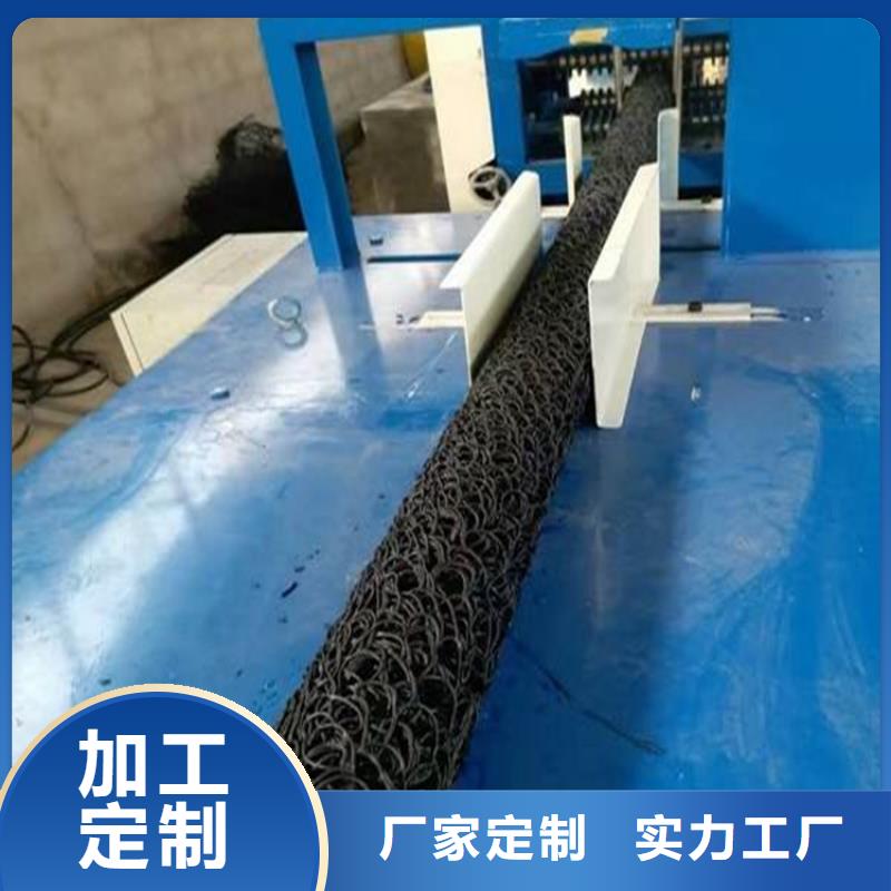 塑料盲溝三維植被網真材實料加工定制