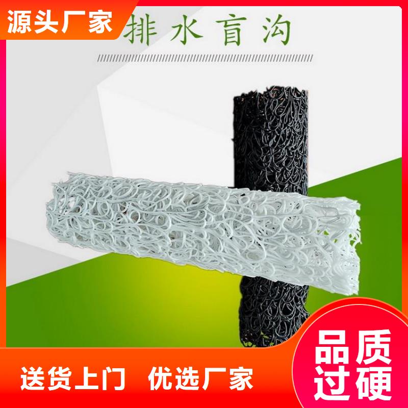 塑料盲沟HDPE土工膜商家