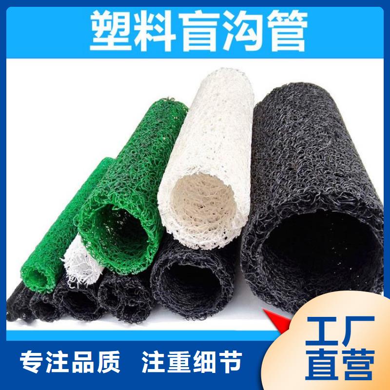 塑料盲溝HDPE土工膜商家
