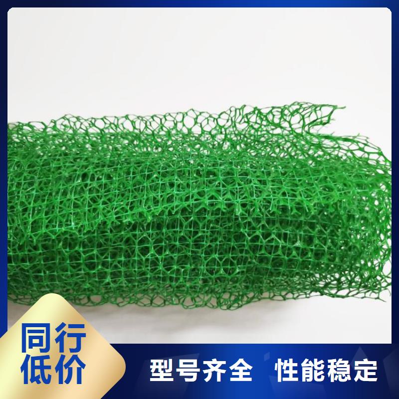 三維植被網(wǎng)橡膠支座源廠直接供貨