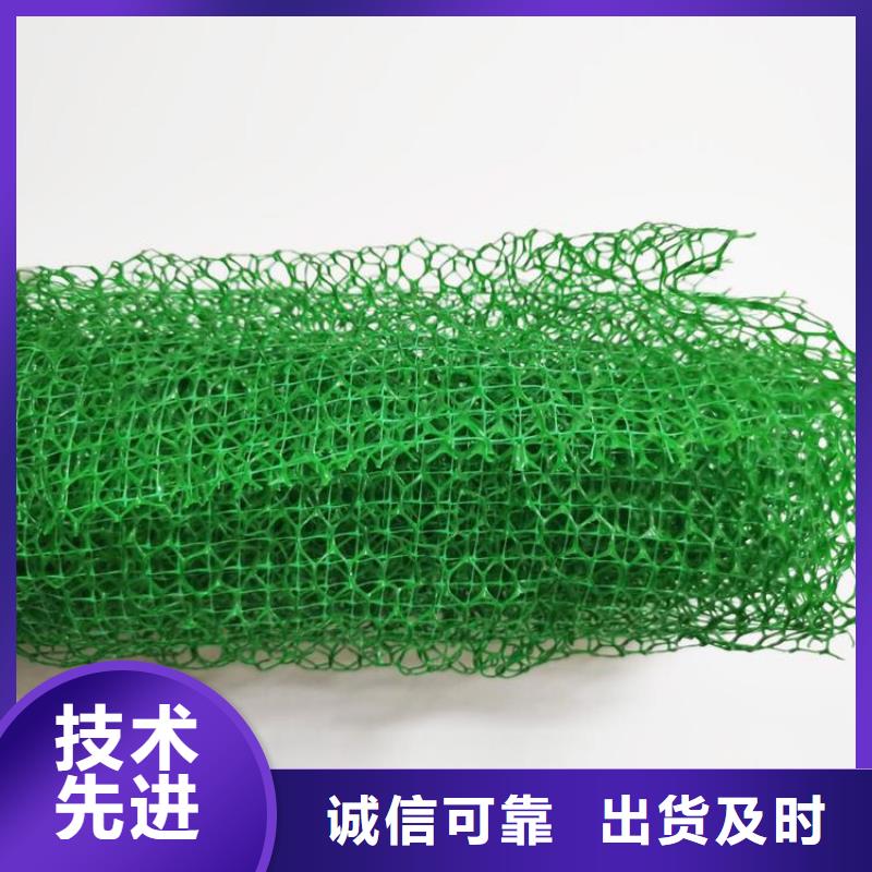 三維植被網(wǎng)【防裂貼】加工定制