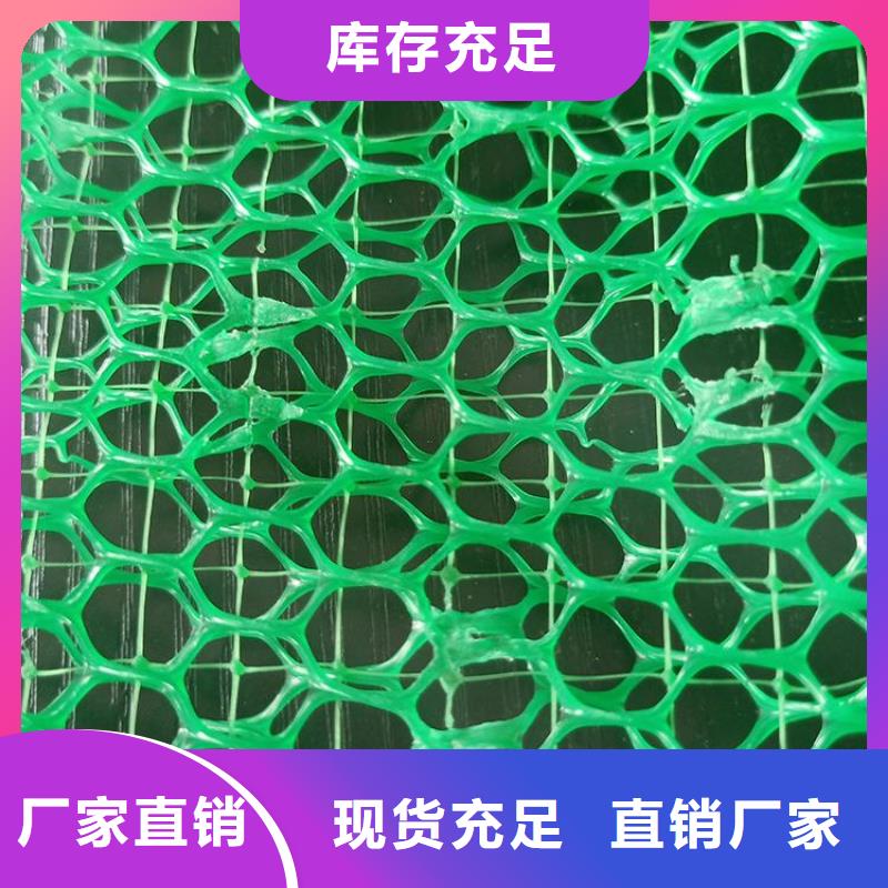 三维植被网双向土工格栅厂家直接面向客户